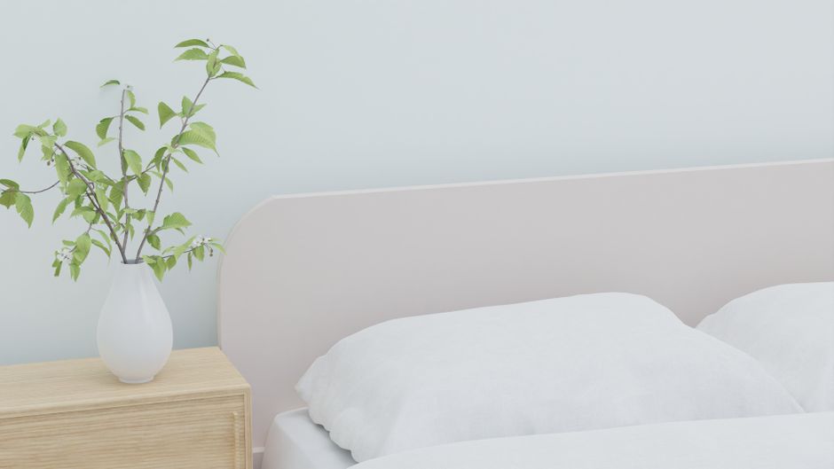 Plante verte posée sur une table de chevet dans la chambre